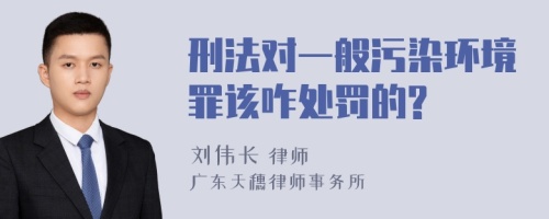 刑法对一般污染环境罪该咋处罚的?