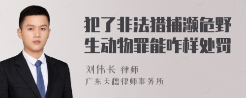 犯了非法猎捕濒危野生动物罪能咋样处罚