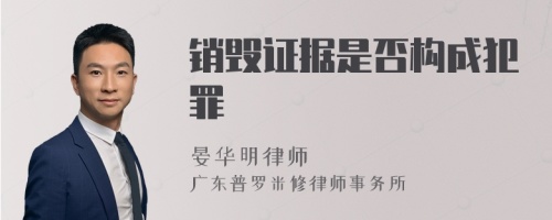 销毁证据是否构成犯罪