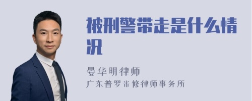 被刑警带走是什么情况