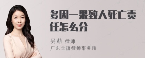 多因一果致人死亡责任怎么分