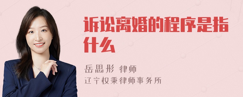 诉讼离婚的程序是指什么