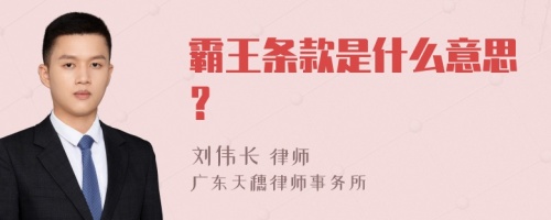 霸王条款是什么意思？