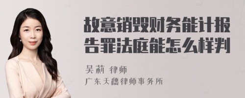 故意销毁财务能计报告罪法庭能怎么样判