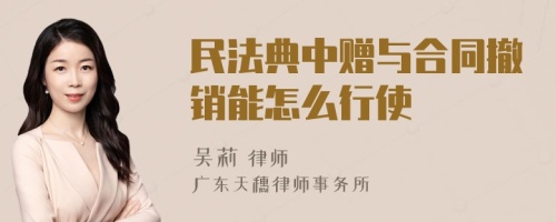 民法典中赠与合同撤销能怎么行使