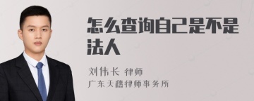 怎么查询自己是不是法人