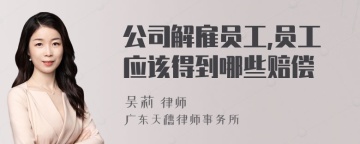 公司解雇员工,员工应该得到哪些赔偿