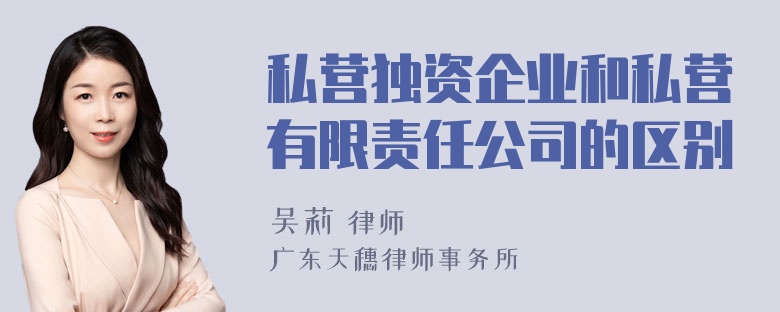 私营独资企业和私营有限责任公司的区别