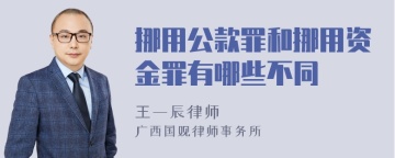 挪用公款罪和挪用资金罪有哪些不同