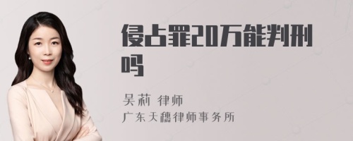 侵占罪20万能判刑吗