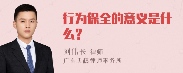 行为保全的意义是什么？