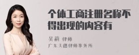 个体工商注册名称不得出现的内容有