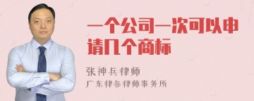 一个公司一次可以申请几个商标