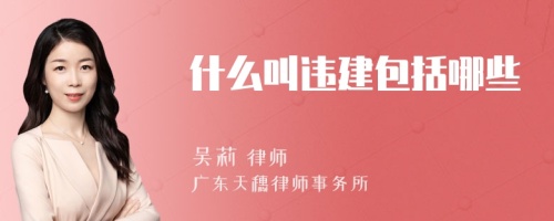 什么叫违建包括哪些