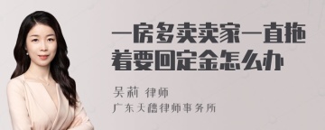 一房多卖卖家一直拖着要回定金怎么办