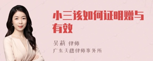 小三该如何证明赠与有效