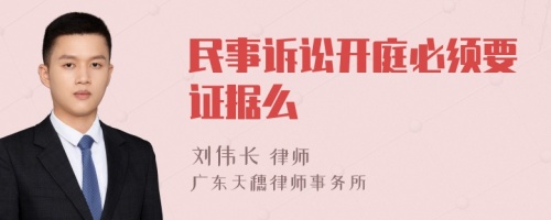 民事诉讼开庭必须要证据么