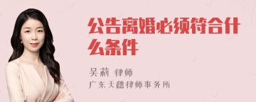 公告离婚必须符合什么条件