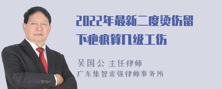 2022年最新二度烫伤留下疤痕算几级工伤