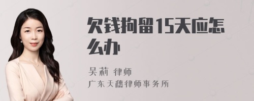 欠钱拘留15天应怎么办