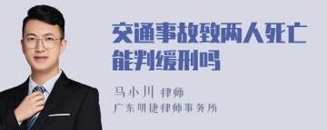 交通事故致两人死亡能判缓刑吗