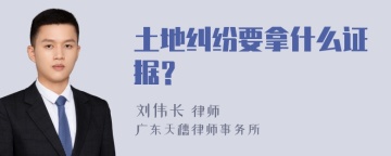 土地纠纷要拿什么证据？