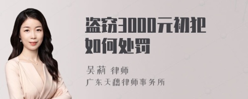 盗窃3000元初犯如何处罚