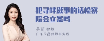 犯寻衅滋事的话检察院会立案吗