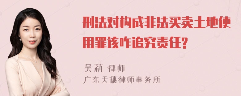 刑法对构成非法买卖土地使用罪该咋追究责任?