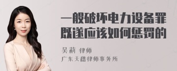 一般破坏电力设备罪既遂应该如何惩罚的