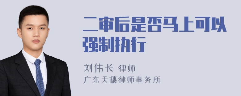 二审后是否马上可以强制执行