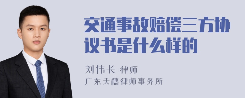 交通事故赔偿三方协议书是什么样的