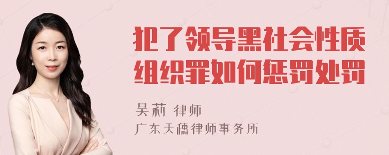 犯了领导黑社会性质组织罪如何惩罚处罚