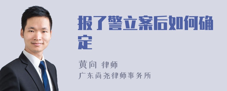 报了警立案后如何确定