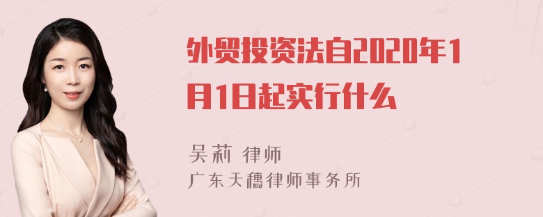 外贸投资法自2020年1月1日起实行什么