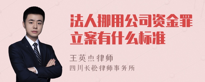 法人挪用公司资金罪立案有什么标准