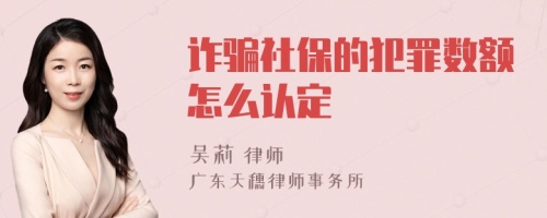 诈骗社保的犯罪数额怎么认定