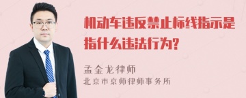 机动车违反禁止标线指示是指什么违法行为?