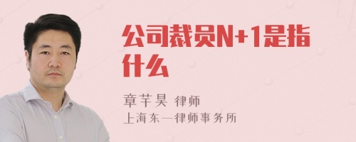 公司裁员N+1是指什么