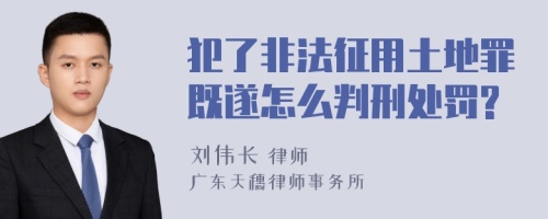 犯了非法征用土地罪既遂怎么判刑处罚?