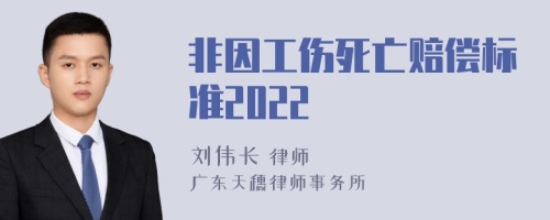 非因工伤死亡赔偿标准2022