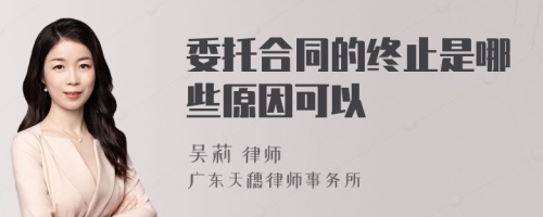 委托合同的终止是哪些原因可以