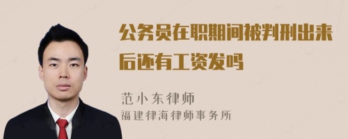 公务员在职期间被判刑出来后还有工资发吗