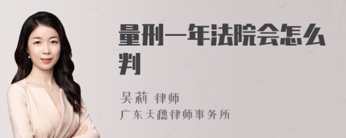 量刑一年法院会怎么判