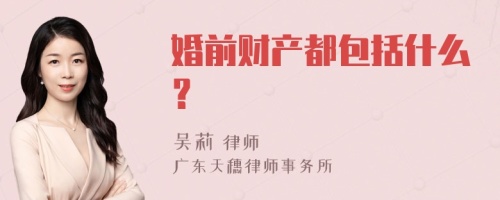 婚前财产都包括什么？