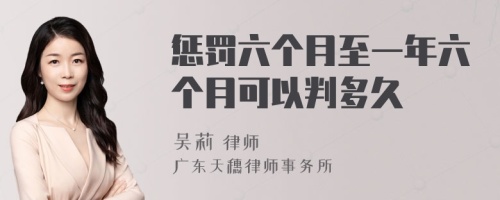 惩罚六个月至一年六个月可以判多久