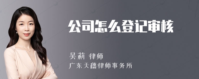 公司怎么登记审核