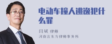 电动车撞人逃逸犯什么罪