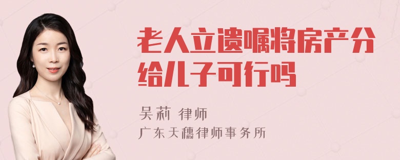 老人立遗嘱将房产分给儿子可行吗