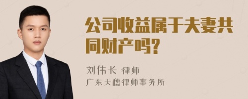 公司收益属于夫妻共同财产吗?